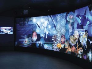 How to fit a killer whale through a door…